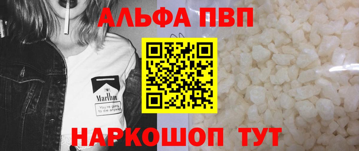 Alfa_PVP СК Баксан